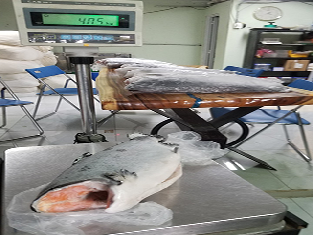 SALMON WHOLE
