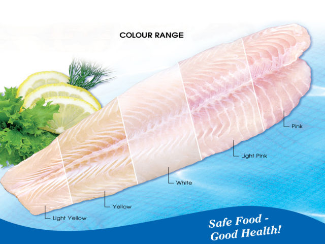 Coulor range Pangasius